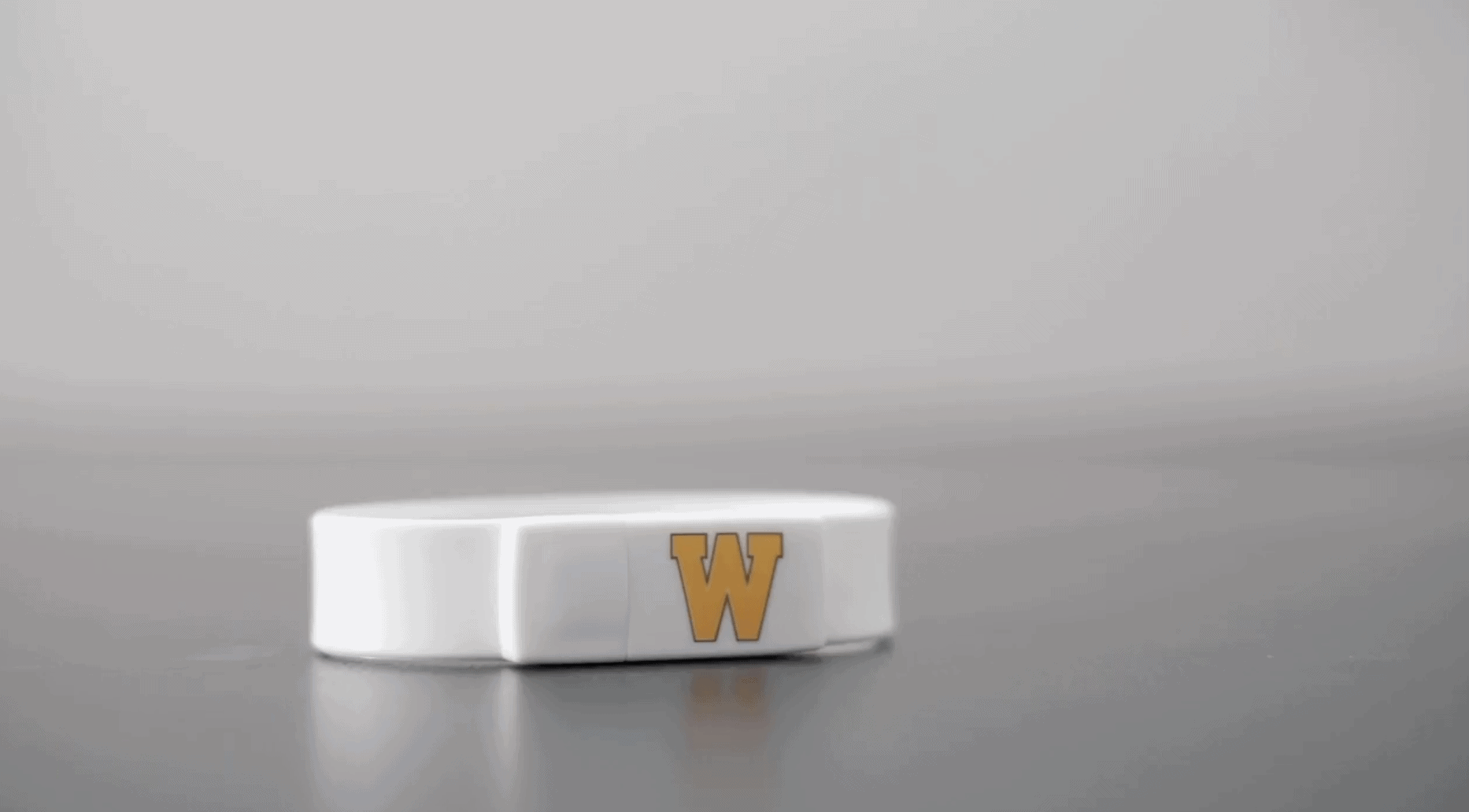 USB Wristband